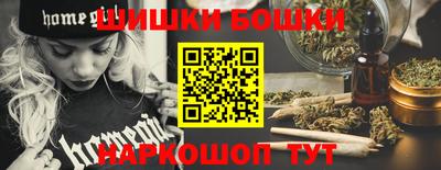 гидра Можга