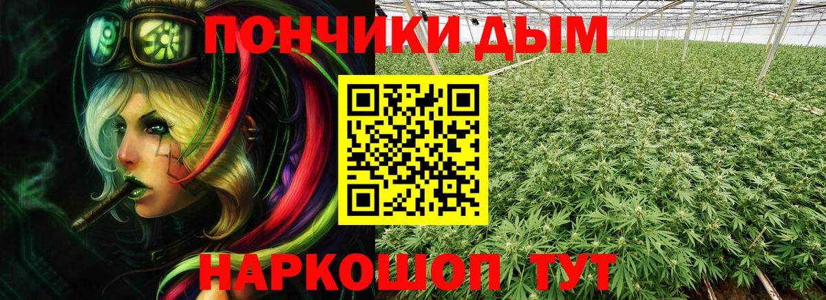 Бошки Шишки конопля  Шишки марихуана ГИДРОПОН  Узловая  Вход с VPN 